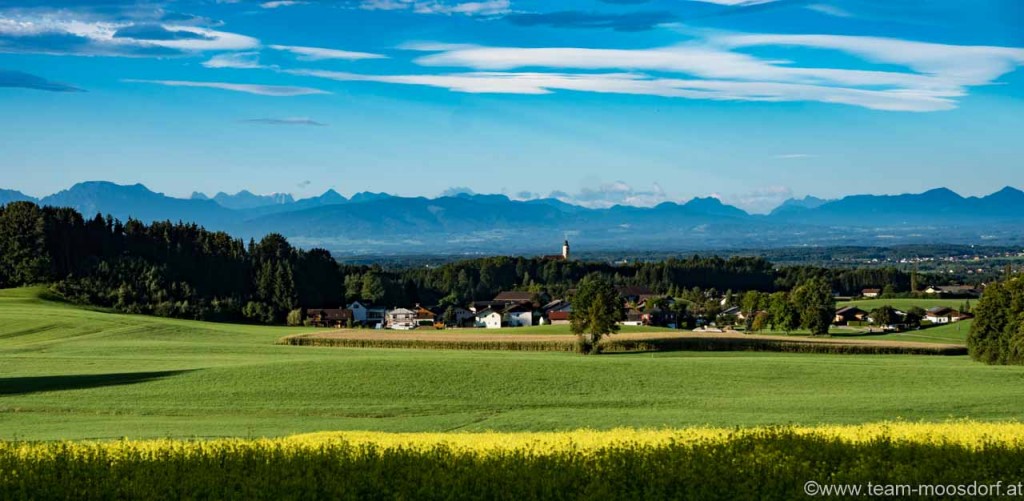 Guten Morgen Moosdorf (1 von 1)
